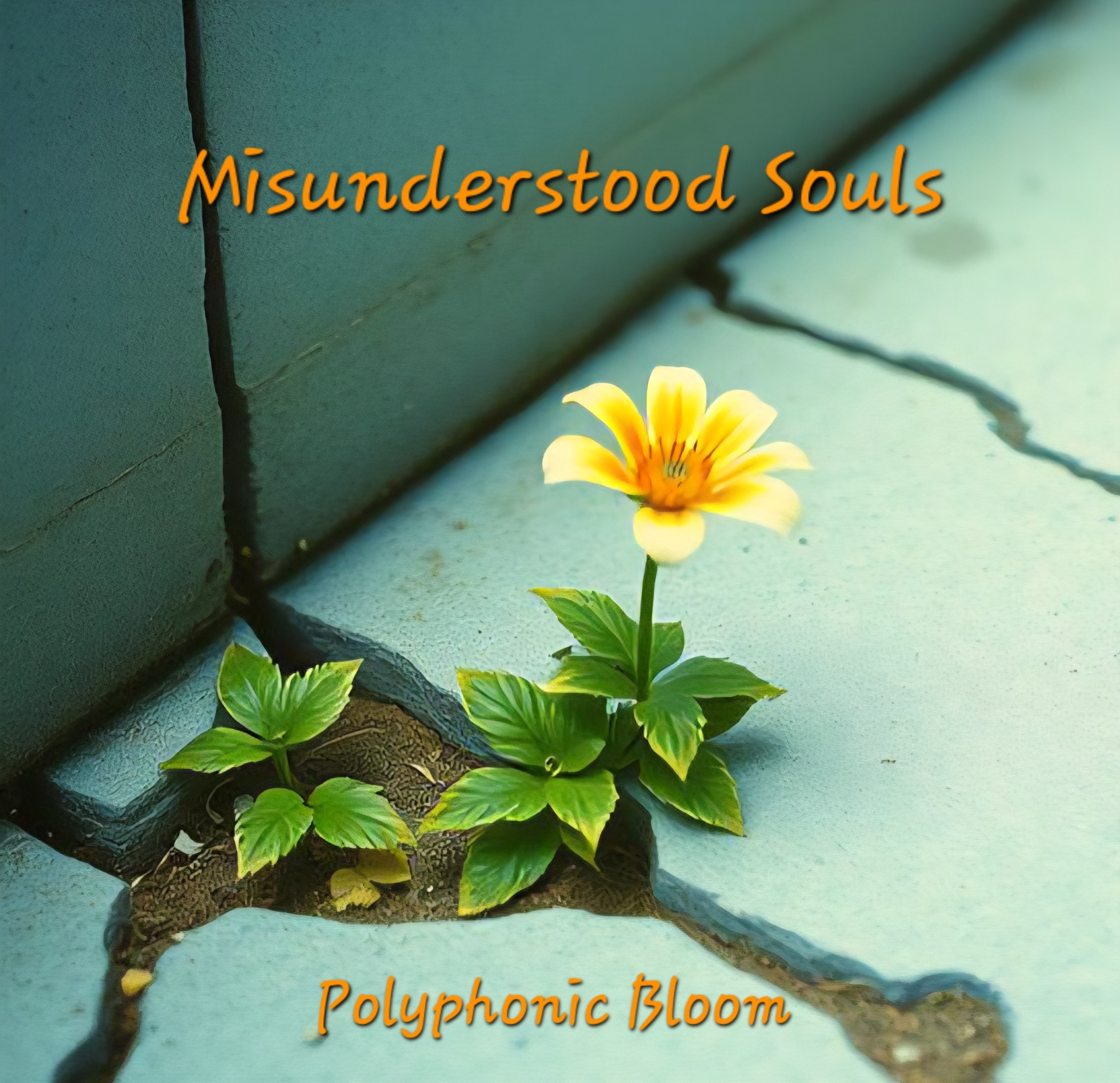 Misunderstood Souls