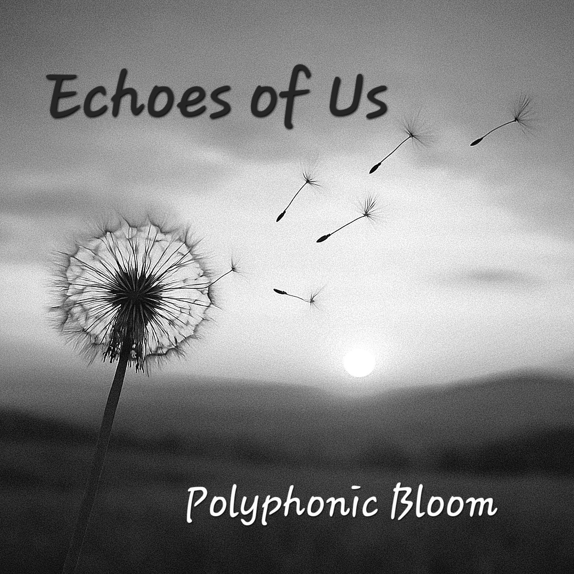 Echoes of Us